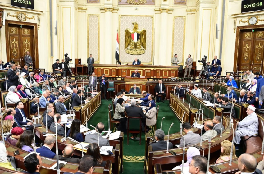  Egypt parliament approves cabinet reshuffle amid economic pressures