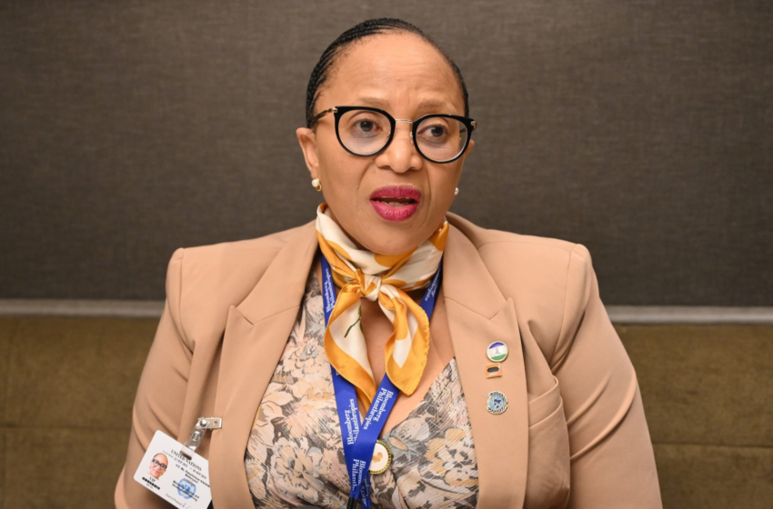  Lesotho finance minister denies AI wrote budget speech