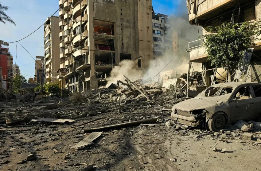  Leave no pet behind, Israelis veterinary issues war safety guide