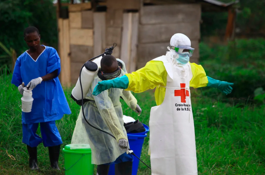  WHO declares Ebola emergency in DRC, Uganda