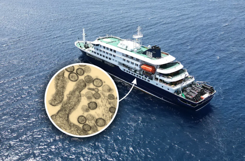  South Africa identifies rare hantavirus strain from cruise ship outbreak