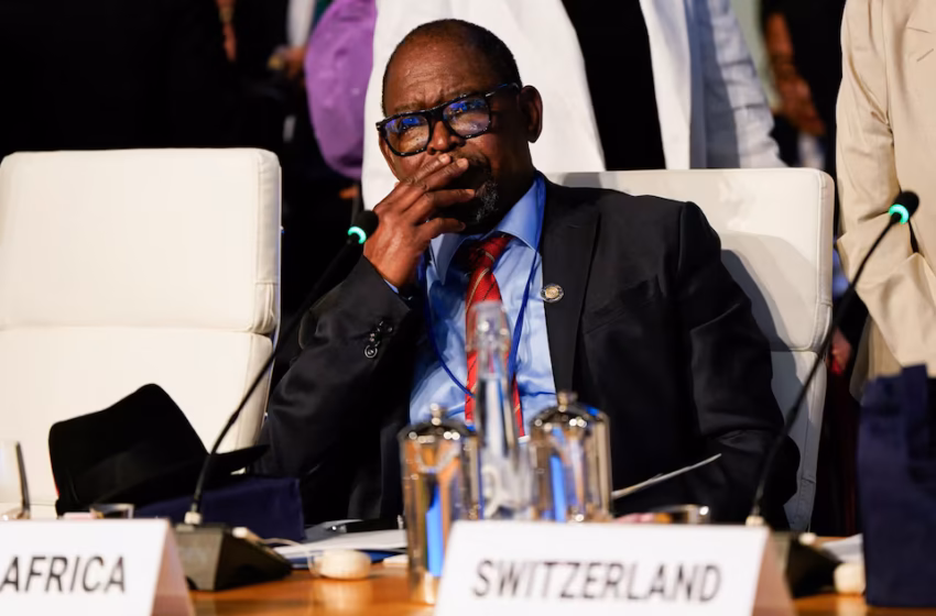  South Africa to Appoint New PIC Board