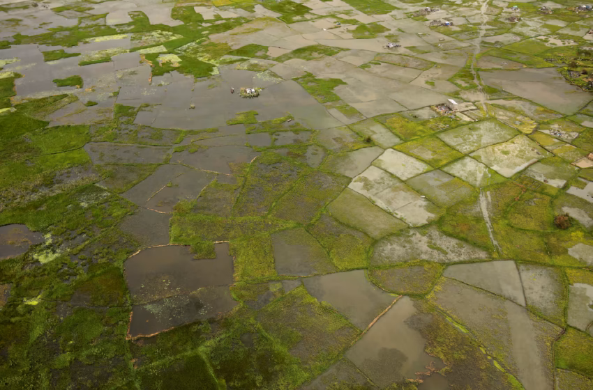  Africa facing $10-$20 billion economic hit from ‘super’ El Niño- AfDB