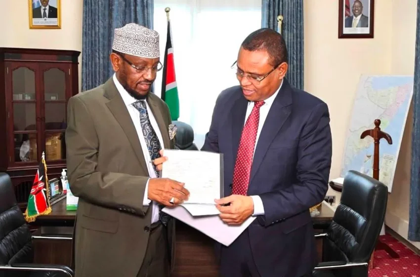 Somali Deputy PM Renounces Kenyan Citizenship
