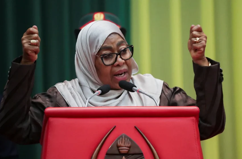  Tanzania Orders New Election Violence Probe