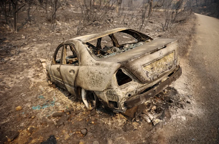  Algeria Lawmakers Approve Death Penalty For Arson